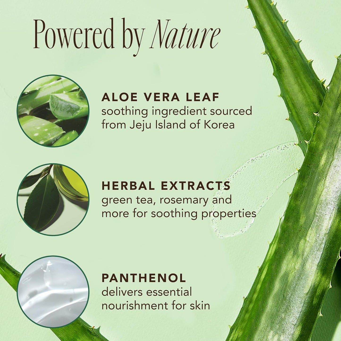 Espuma limpiadora "THEFACESHOP - Jeju Aloe Fresh Soothing"