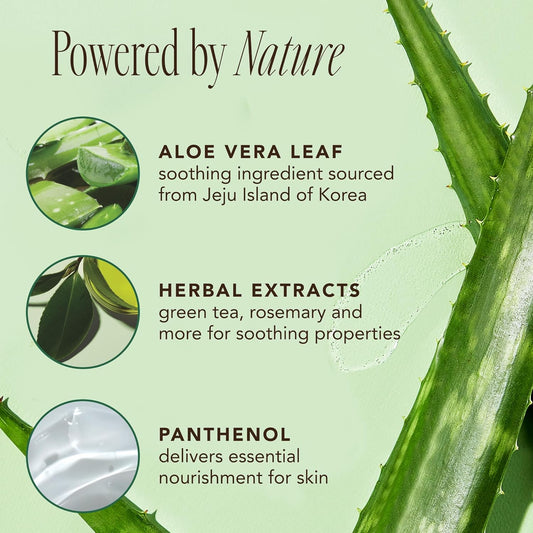 Espuma limpiadora "THEFACESHOP - Jeju Aloe Fresh Soothing"